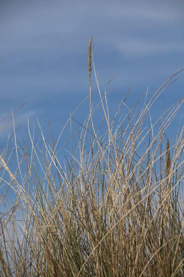 Appartement Zee En Duinzicht 84 Katwijk aan Zee ภายนอก รูปภาพ
