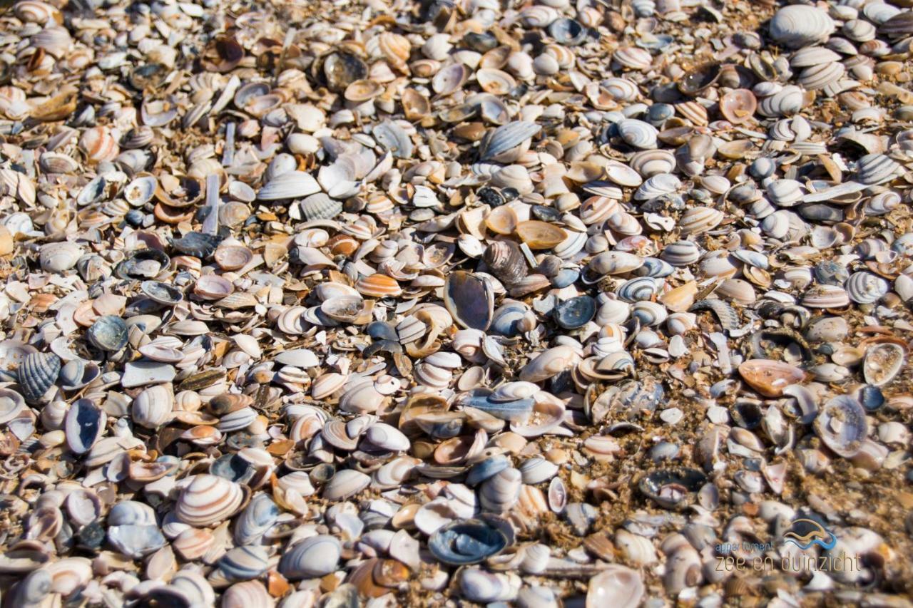 Appartement Zee En Duinzicht 84 Katwijk aan Zee ภายนอก รูปภาพ